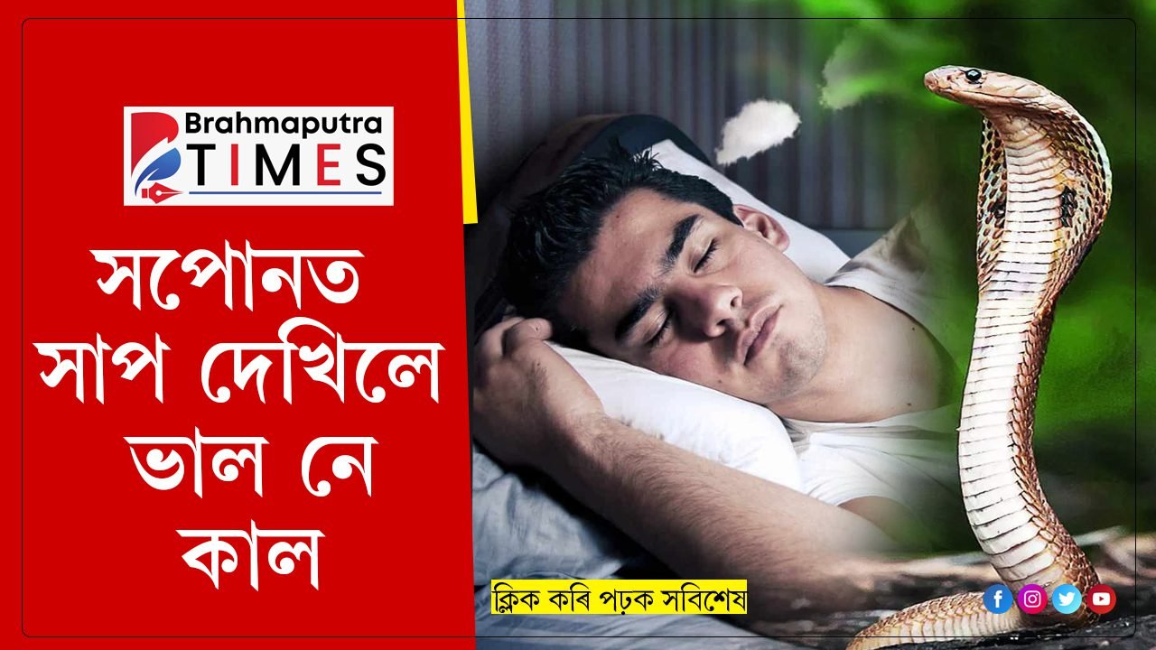 সপোনত সাপ দেখিলে আপোনাৰ বাবে ভাল নে বেয়া! জানি লওঁ আহক…