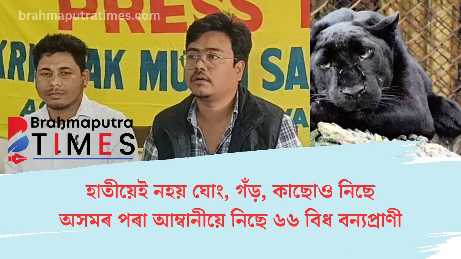 কৃষক মুক্তিৰ বিস্ফোৰণ, হাতীয়েই নহয় ঘোং, গঁড়, কাছোও নিছে মুকেশ আম্বানীয়ে