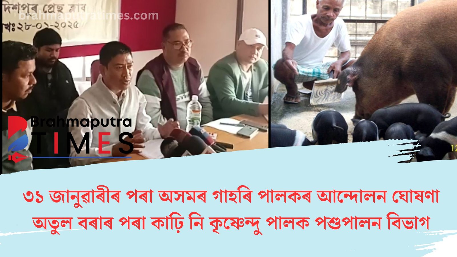 অজগৰৰ দৰে গাহৰি ব্যৱসায় গ্ৰাস বহিৰাগতৰ, ৰাজপথত নামিবলৈ সাজু থলুৱা গাহৰি পালক